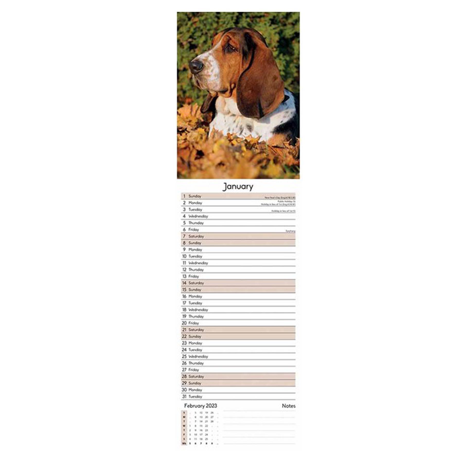 2023 Slimline Wall Calendar Month to View and Matching Diary - Dogs