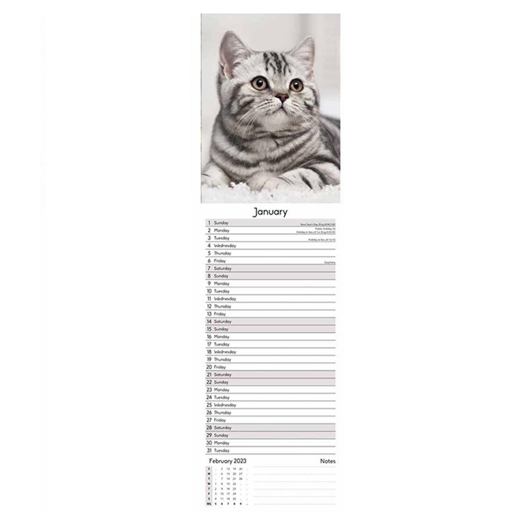 2023 Slimline Wall Calendar Month to View and Matching Diary - Cats