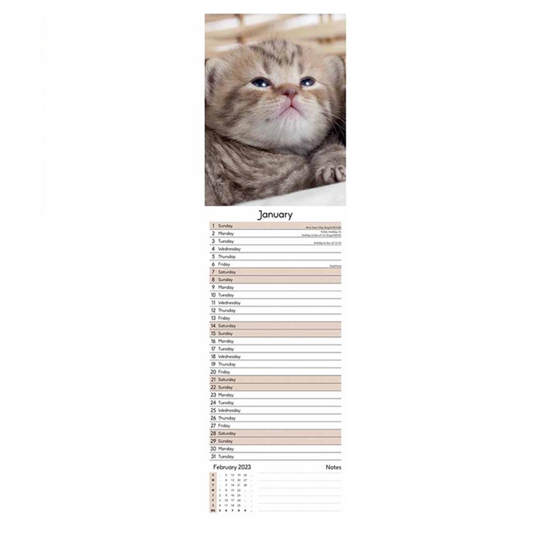 2023 Slimline Wall Calendar Month to View and Matching Diary - Kittens