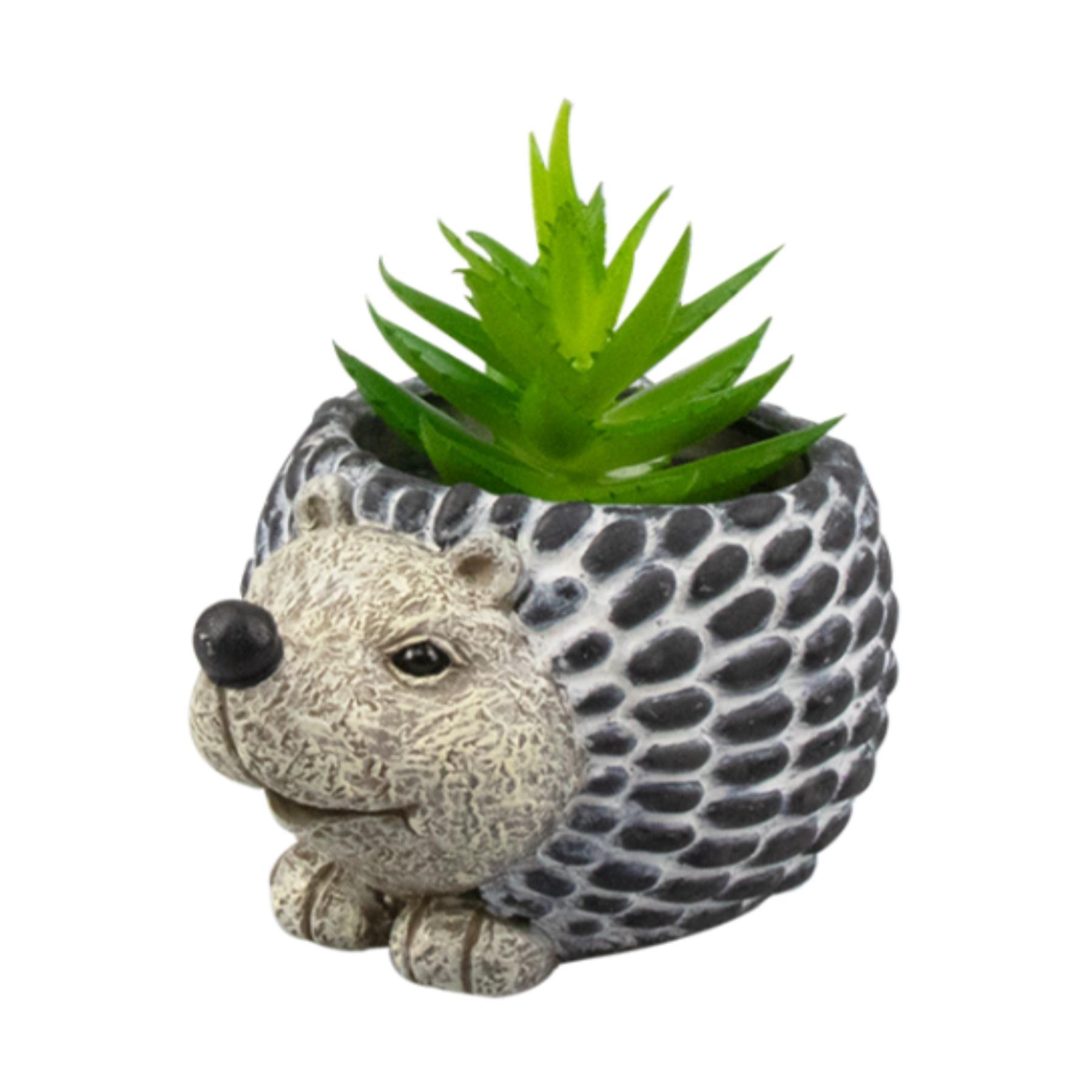 Artificial Succulent Animal Planter Cement - Hedgehog