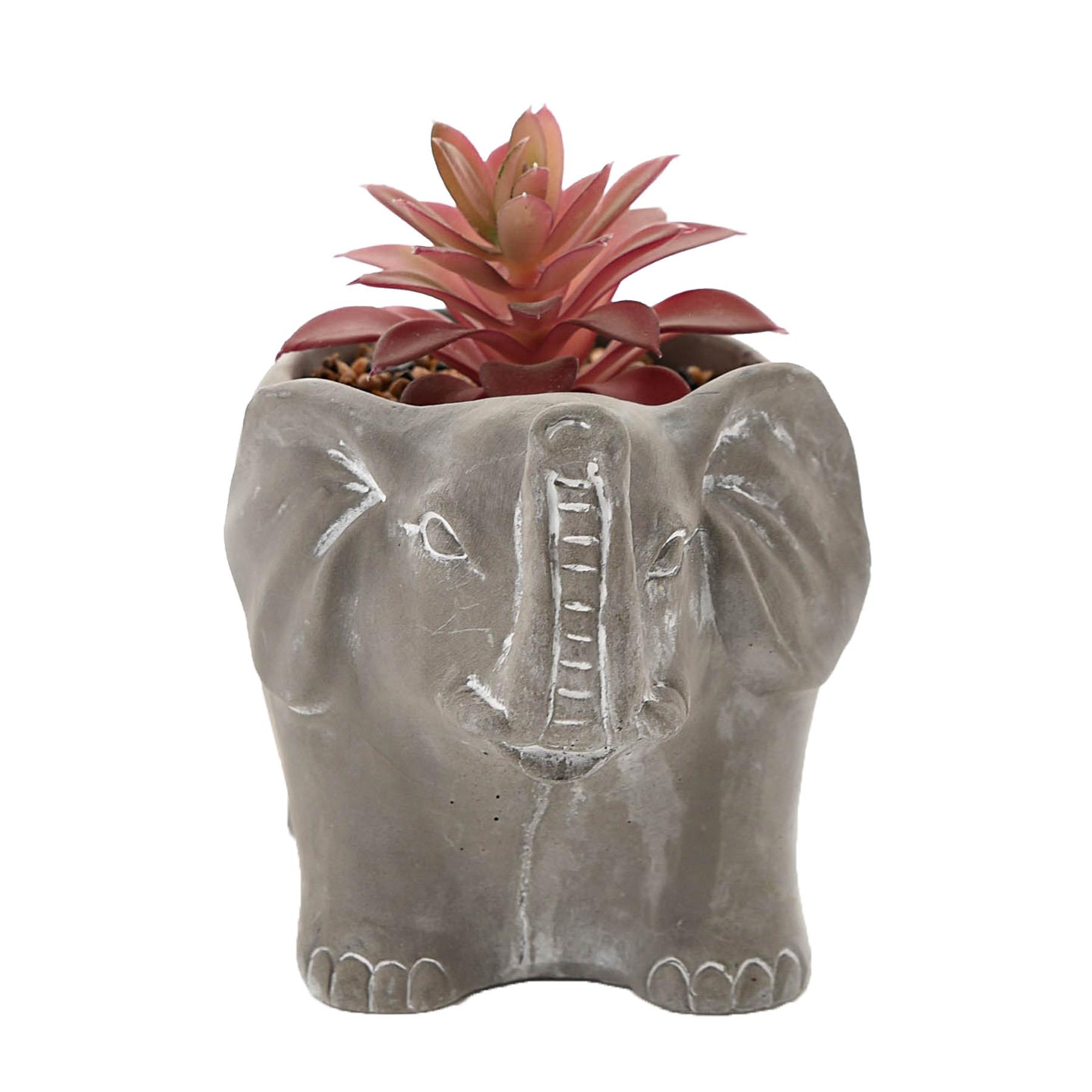 Cement Effect Animal Planter with Succulent - Elephant