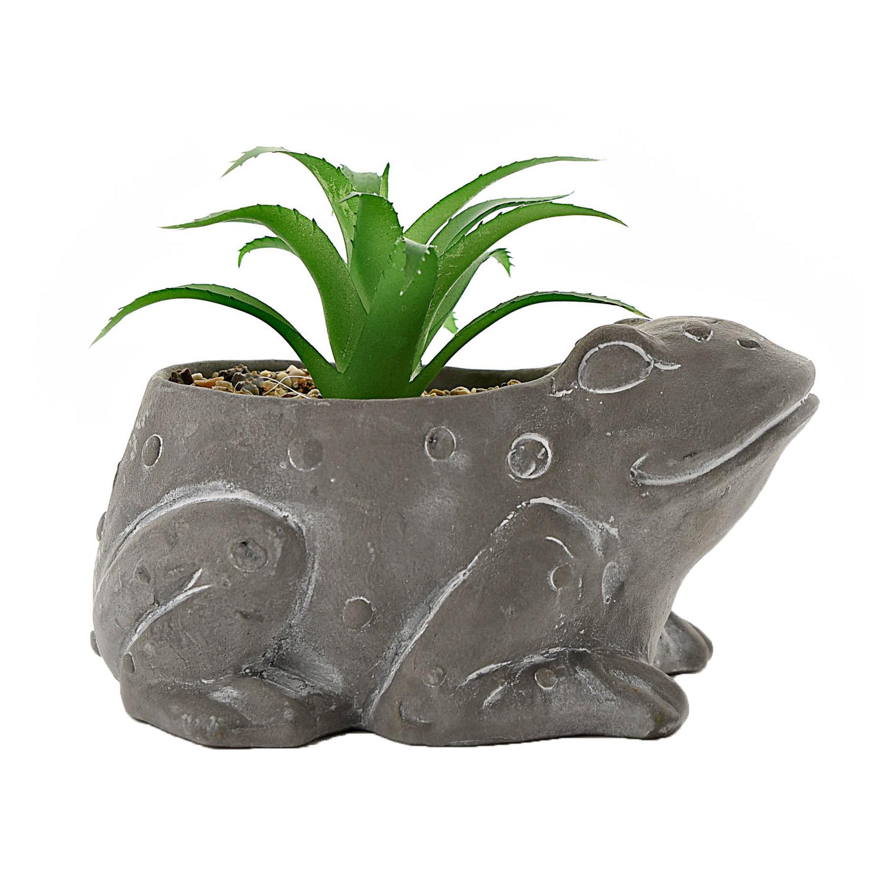Cement Effect Animal Planter with Succulent - Frog