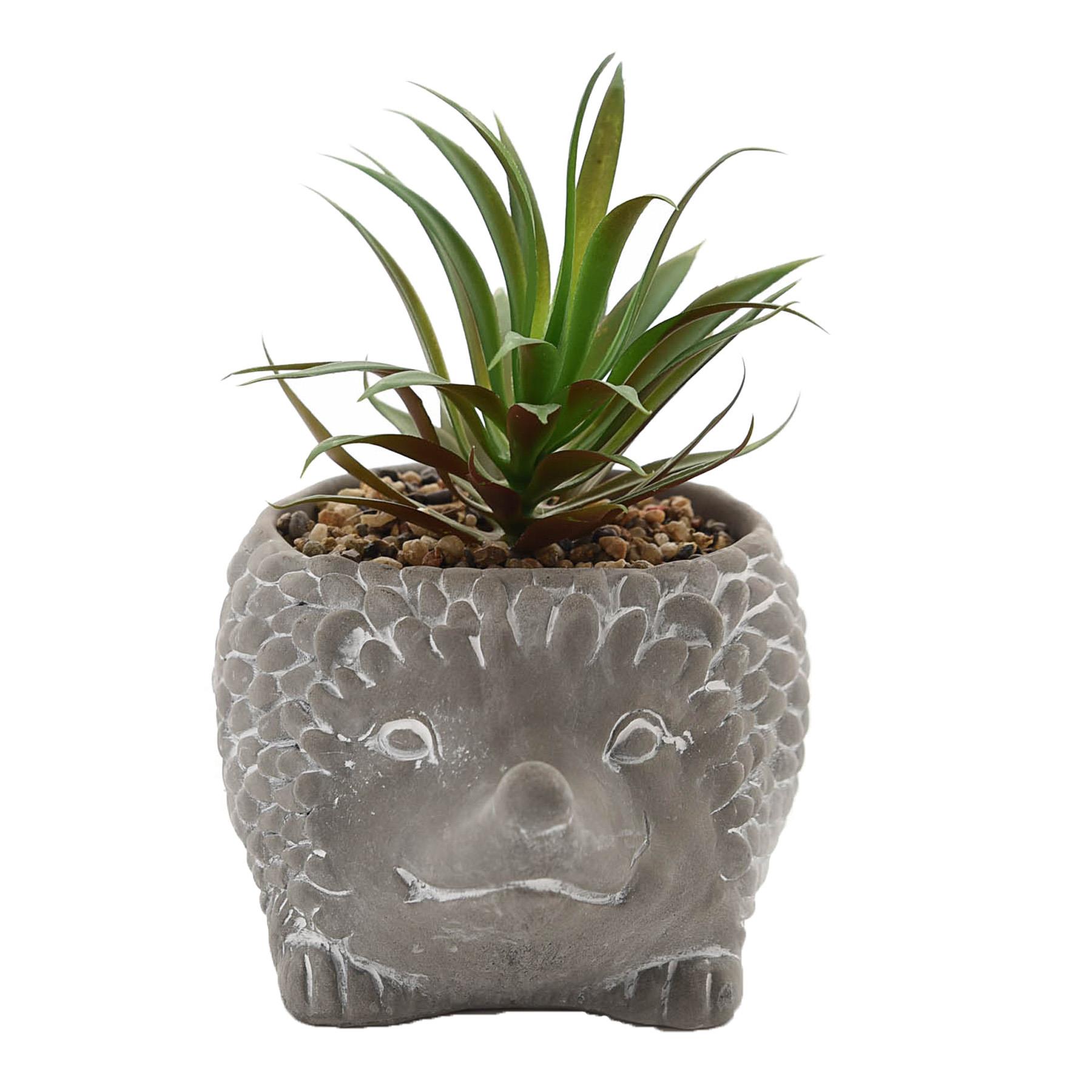 Cement Effect Animal Planter with Succulent - Hedgehog