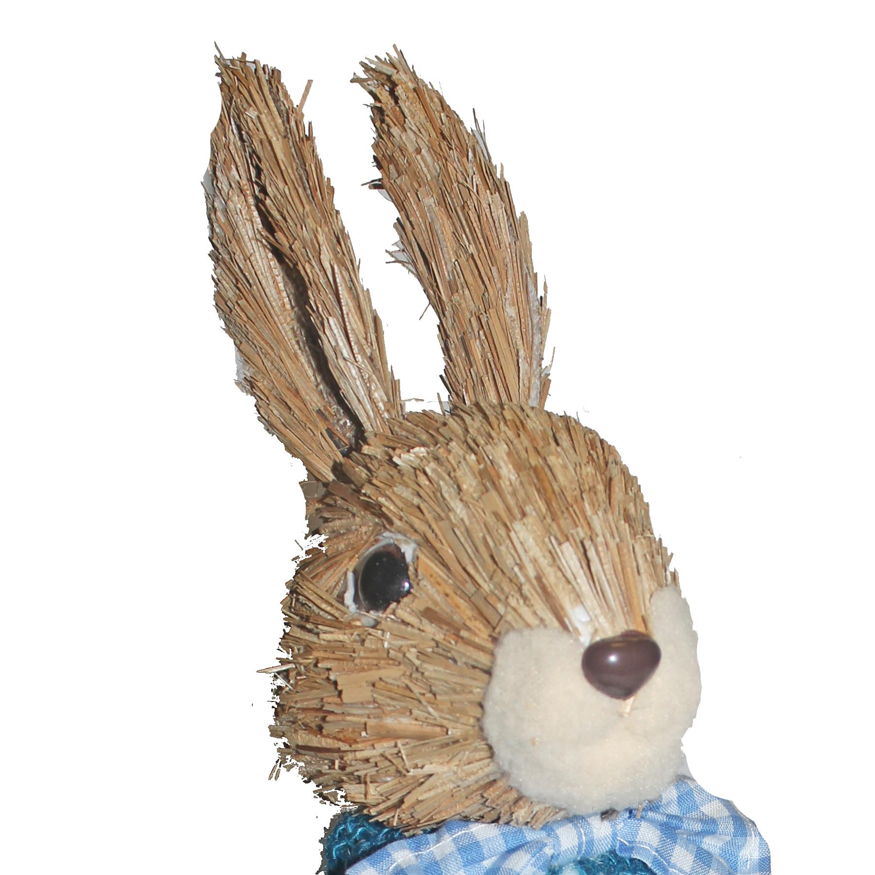 Easter Bunny in Blue Jacket with Carrot Basket Standing Art Deco Decoration Room Ornament