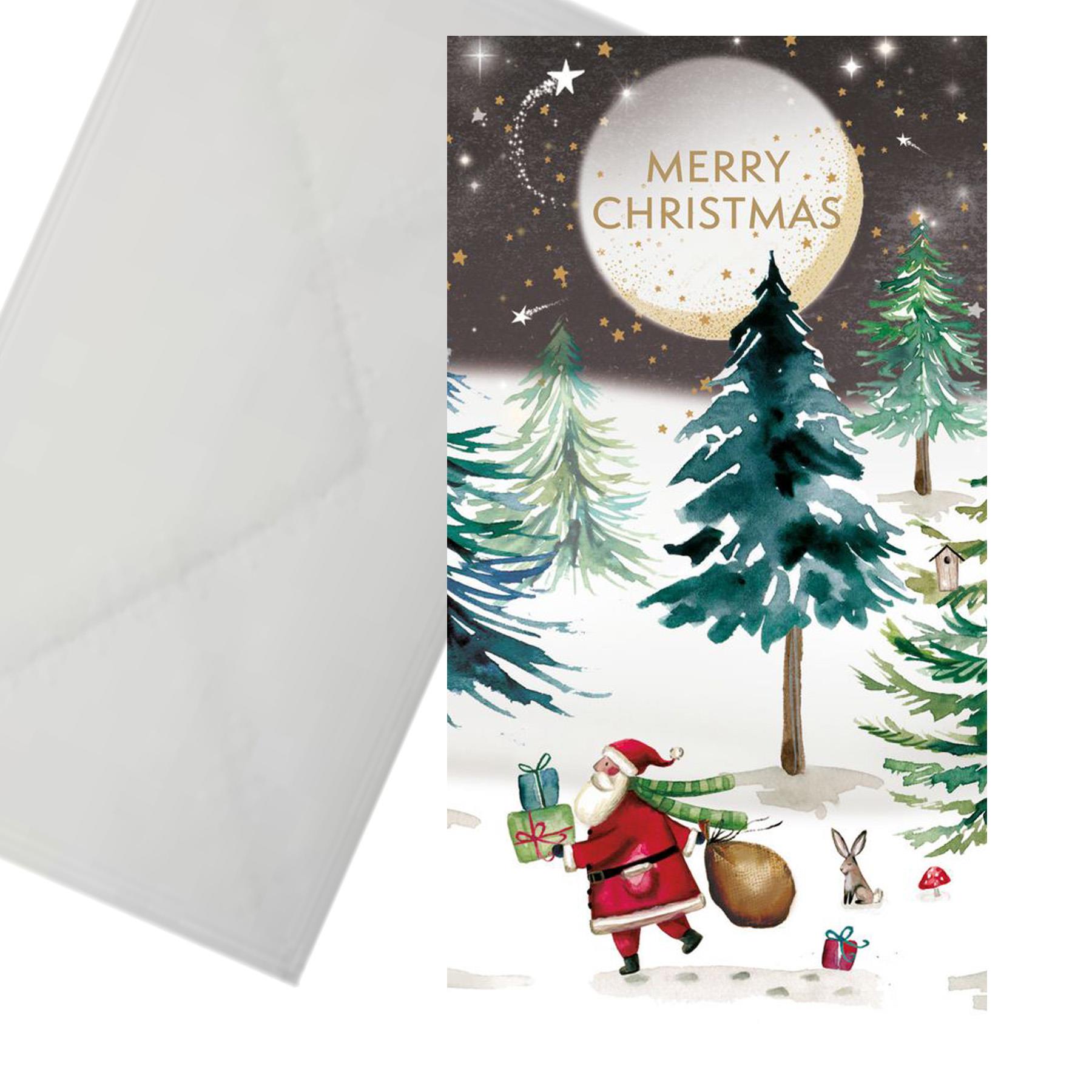 Christmas Money Wallet with Envelope by Museums and Galleries Moonlit Santa