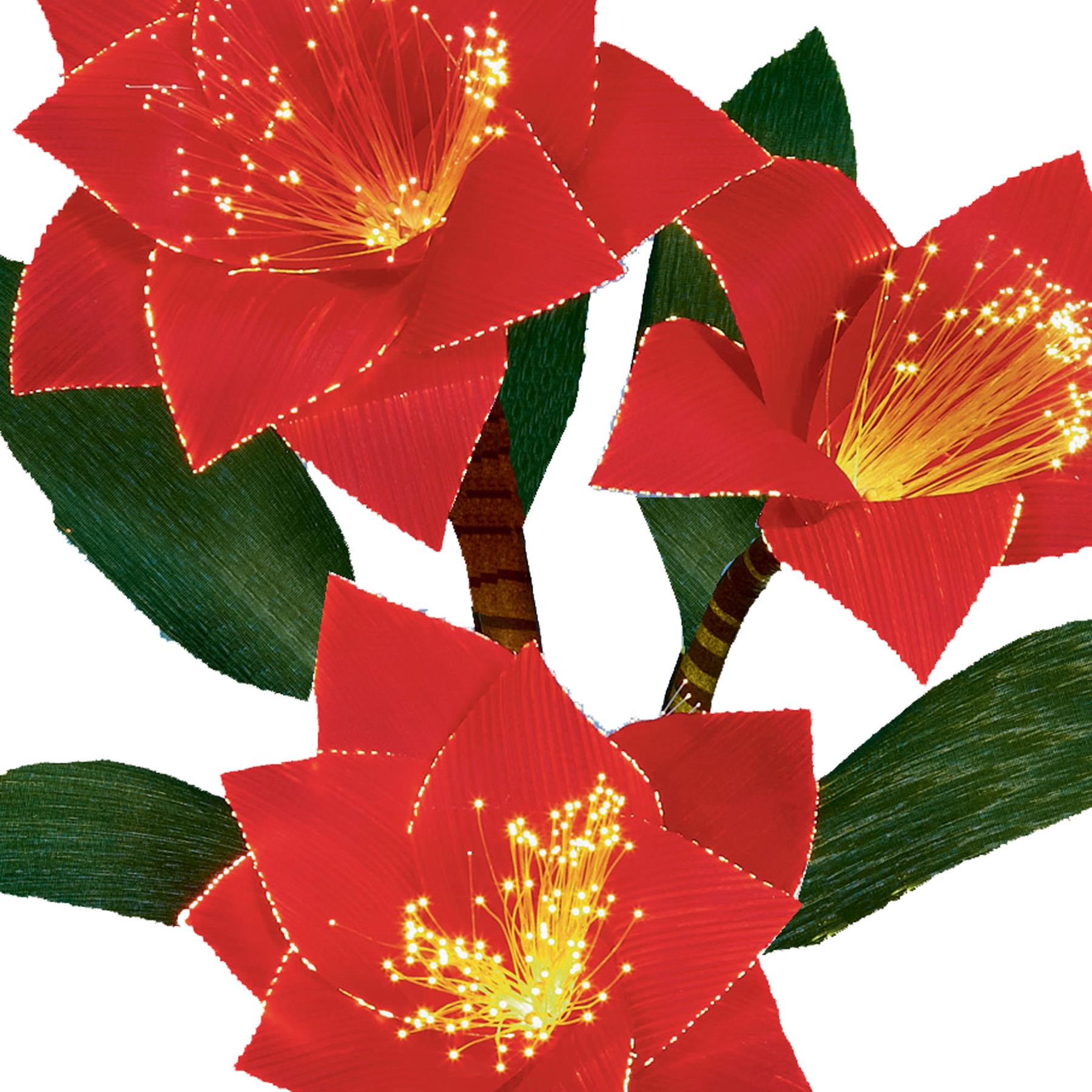 image438268789.jpg Red Poinsettia LED Fibre Optic Light up Plant Christmas Decoration 40cm