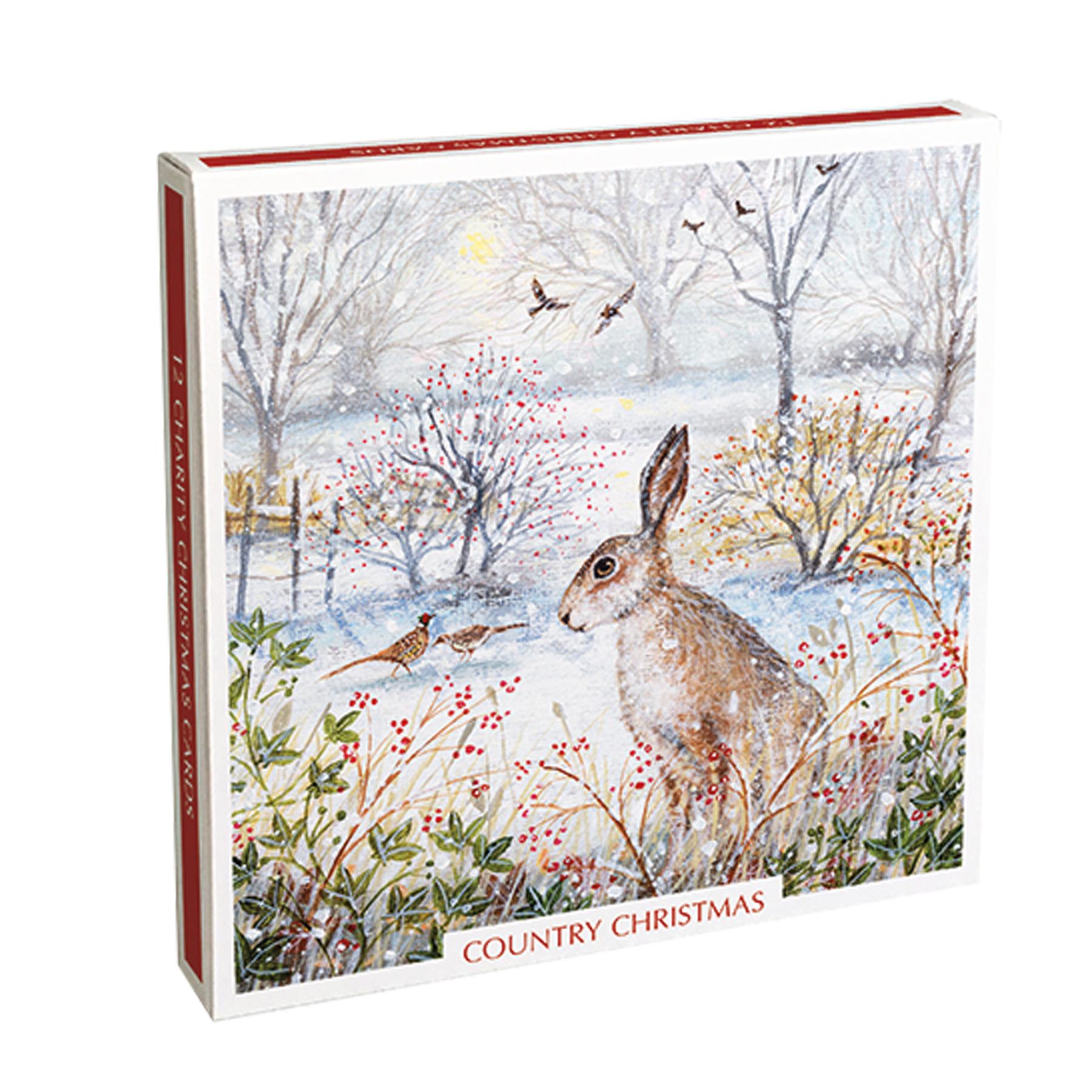 Box of 12 Christmas Cards 2 Designs Recyclable - Country Christmas
