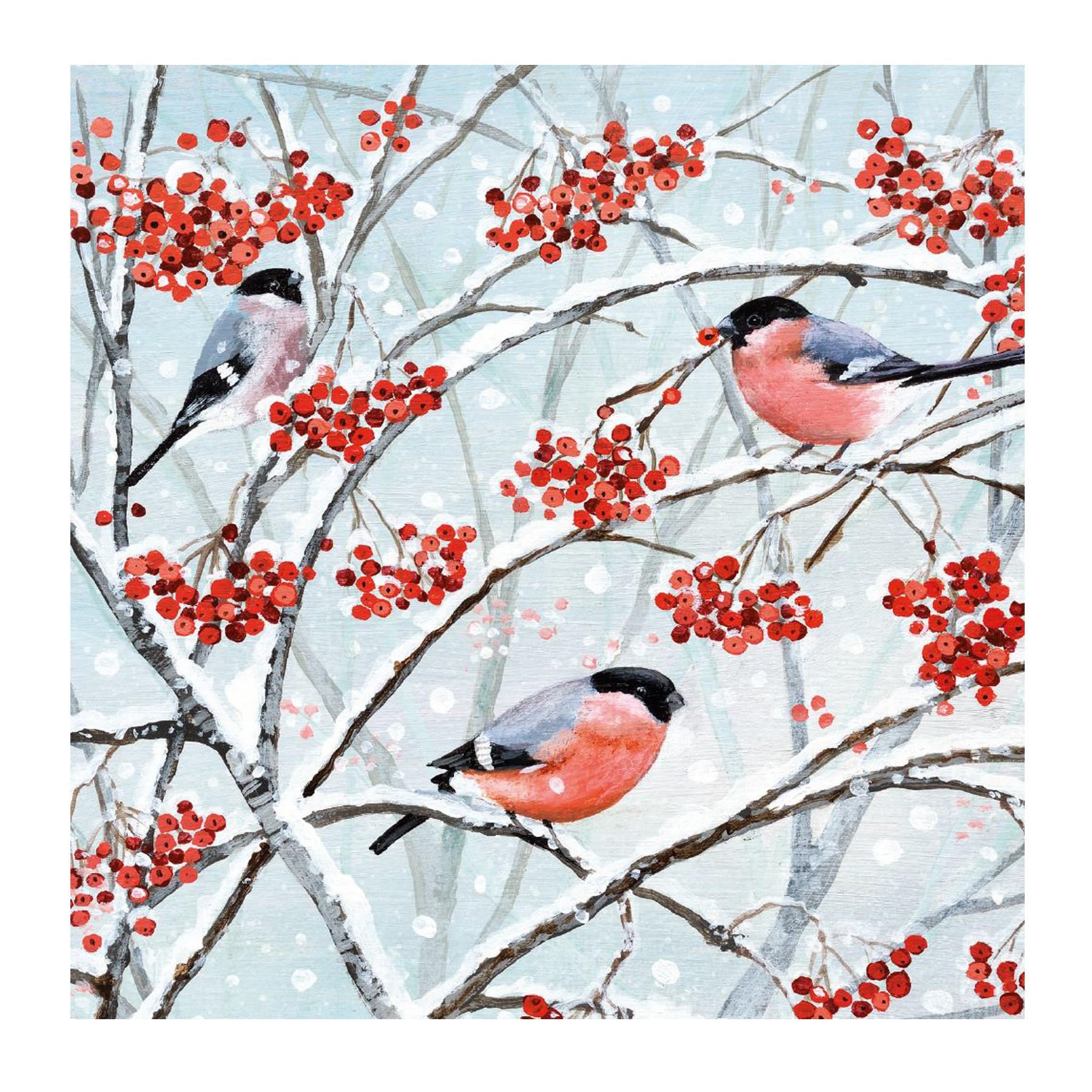 image441090525.jpg Box of 20 Charity Christmas Cards 100% Recyclable - Animals and Winter Berries
