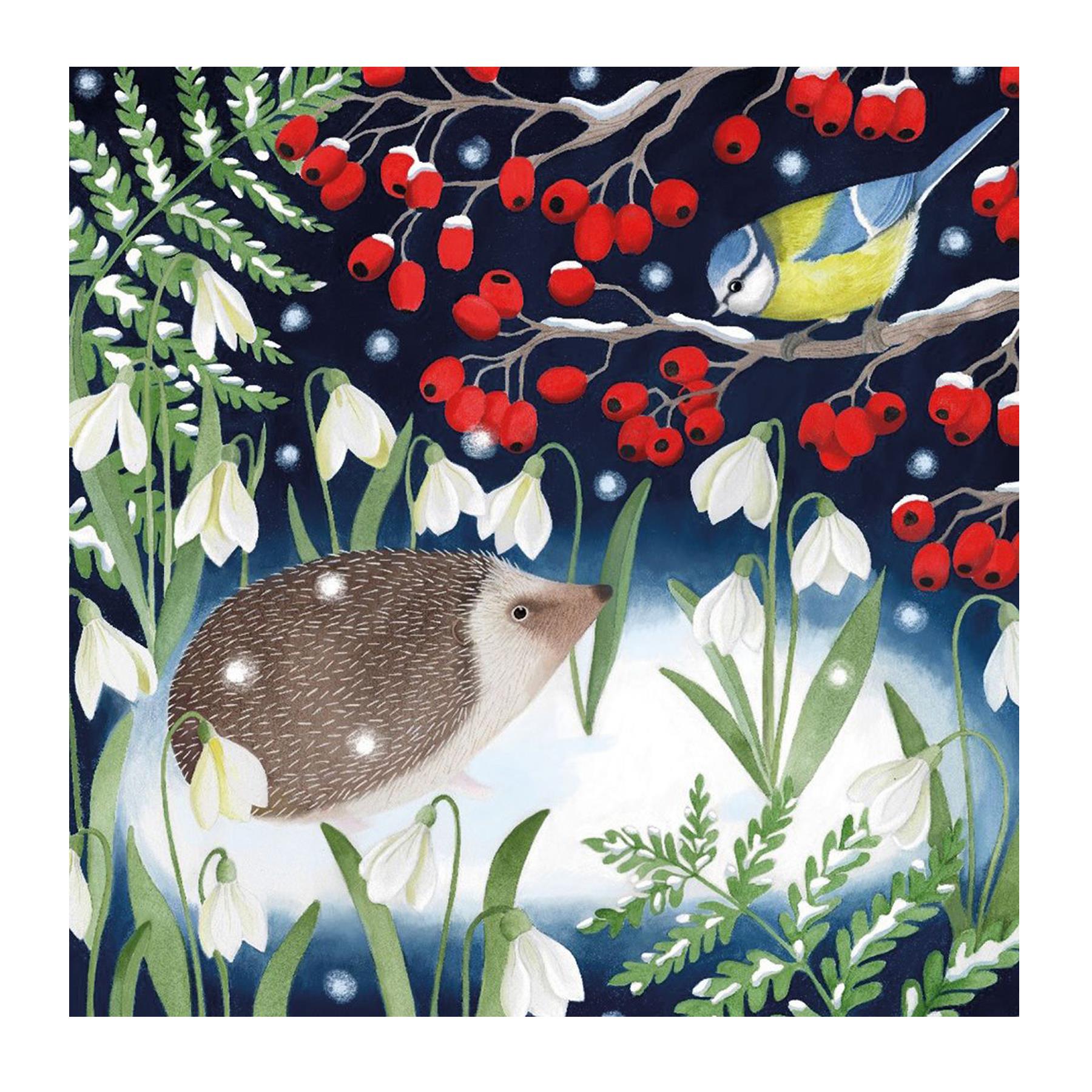 image441090625.jpg Box of 20 Charity Christmas Cards 100% Recyclable - Woodland Friends