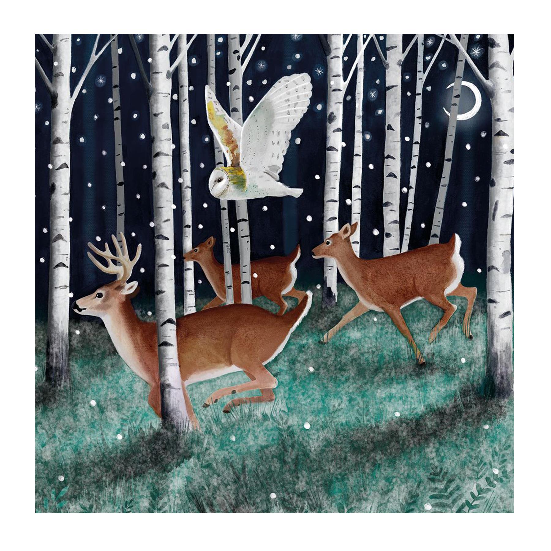 image441090630.jpg Box of 20 Charity Christmas Cards 100% Recyclable - Woodland Friends
