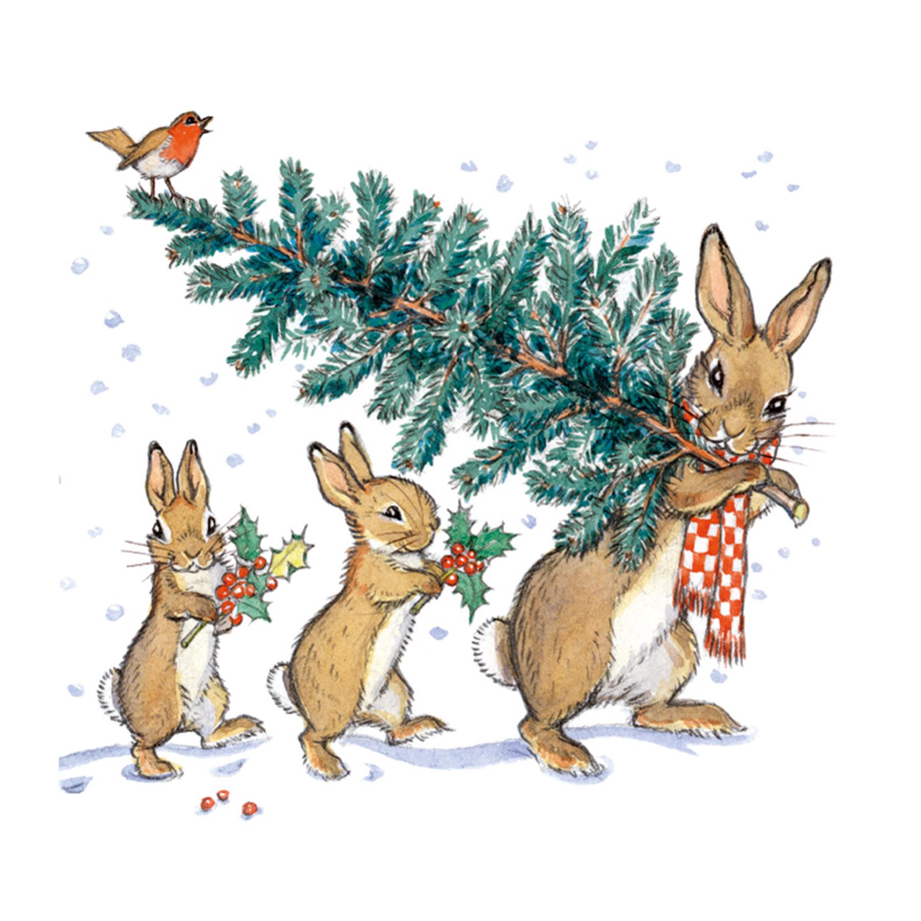 Box of 8 Charity Christmas Cards 100% Recyclable - Bringing Home the Tree