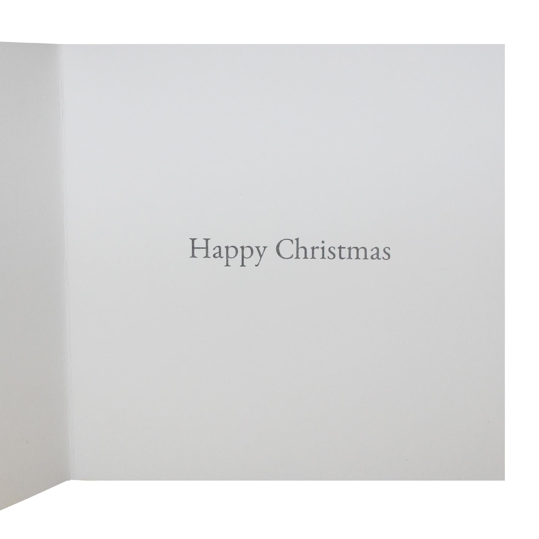 image441093895.jpg Pack of 10 Christmas Cards with Glitter Detail - 8486 Santa