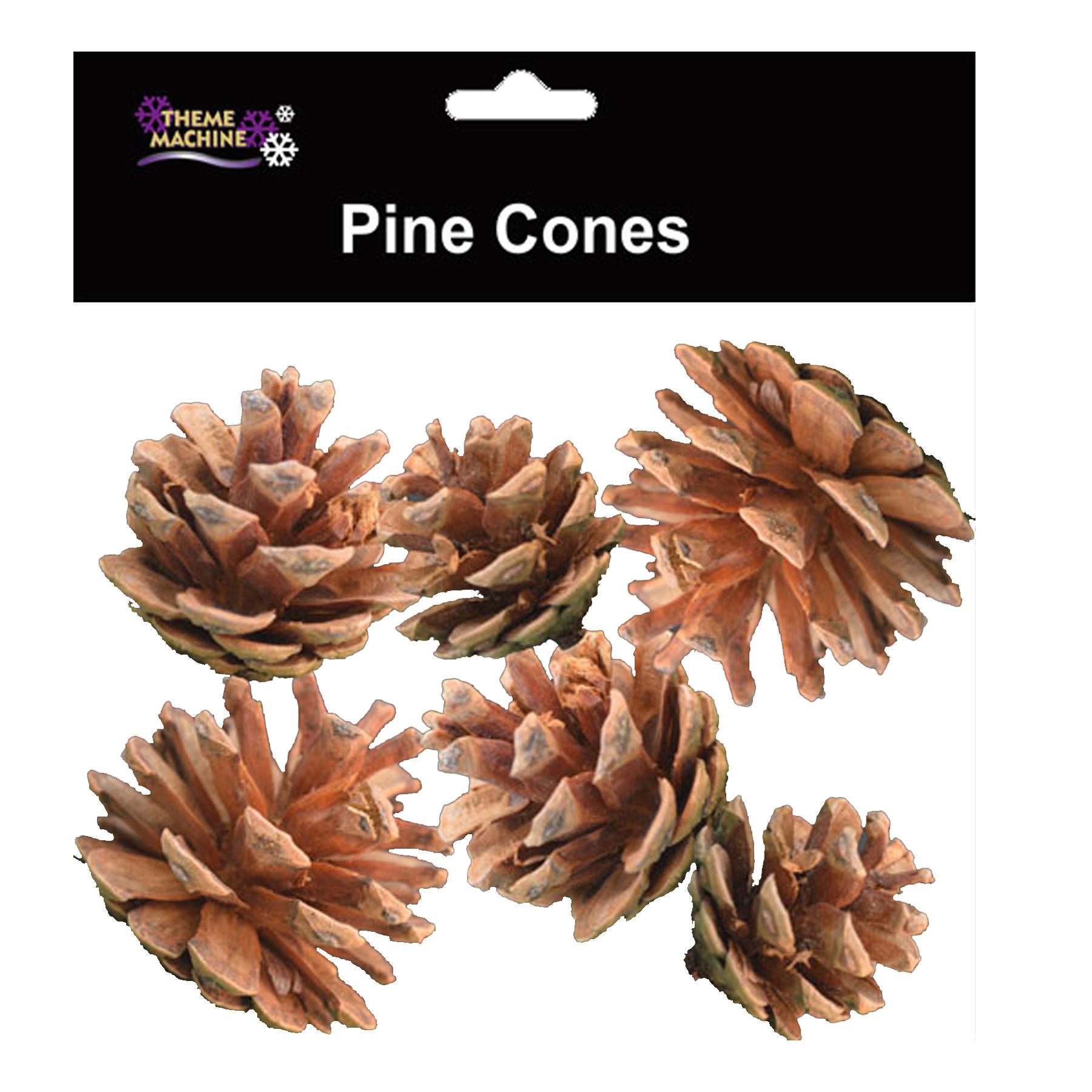 Pine Cones Pack of 6 Crafting Christmas Wreaths Garlands
