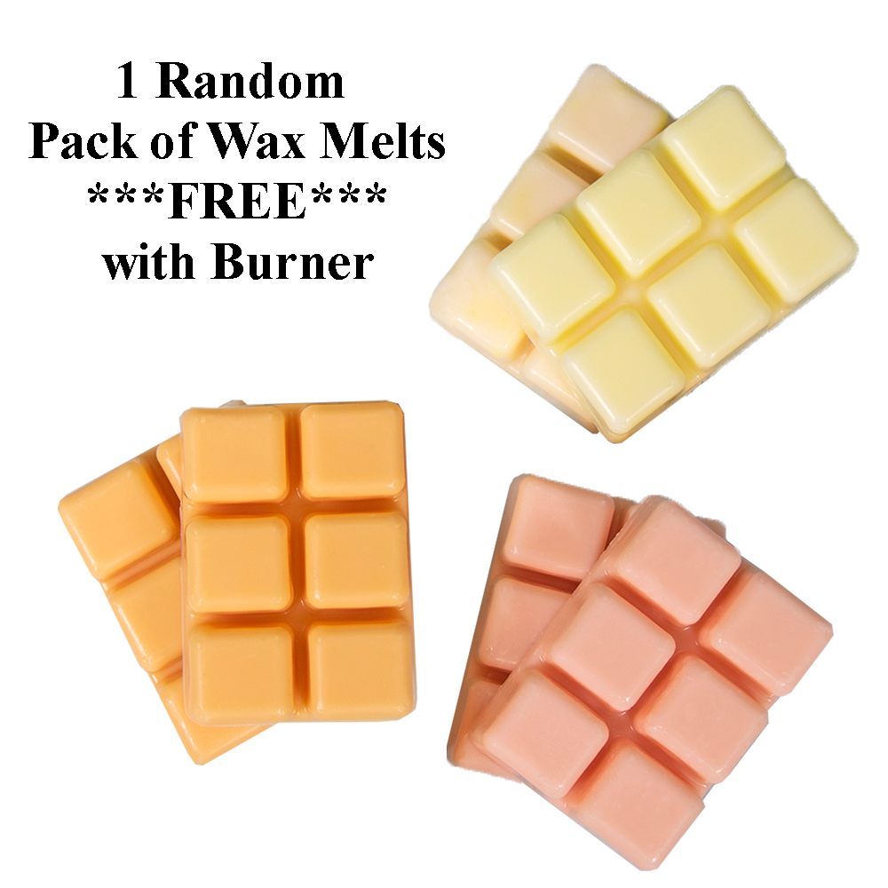 Glass Wax Melt / Oil Warmer / Candle Holder and FREE Wax Melts - Owl