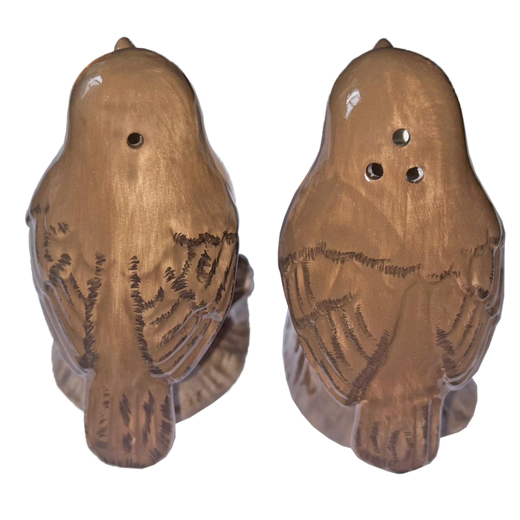 Robin Cruet Salt and Pepper Shakers Novelty Tableware Set