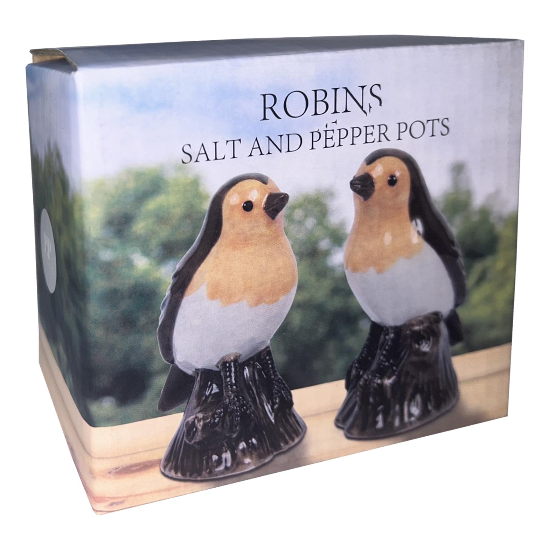 Robin Cruet Salt and Pepper Shakers Novelty Tableware Set