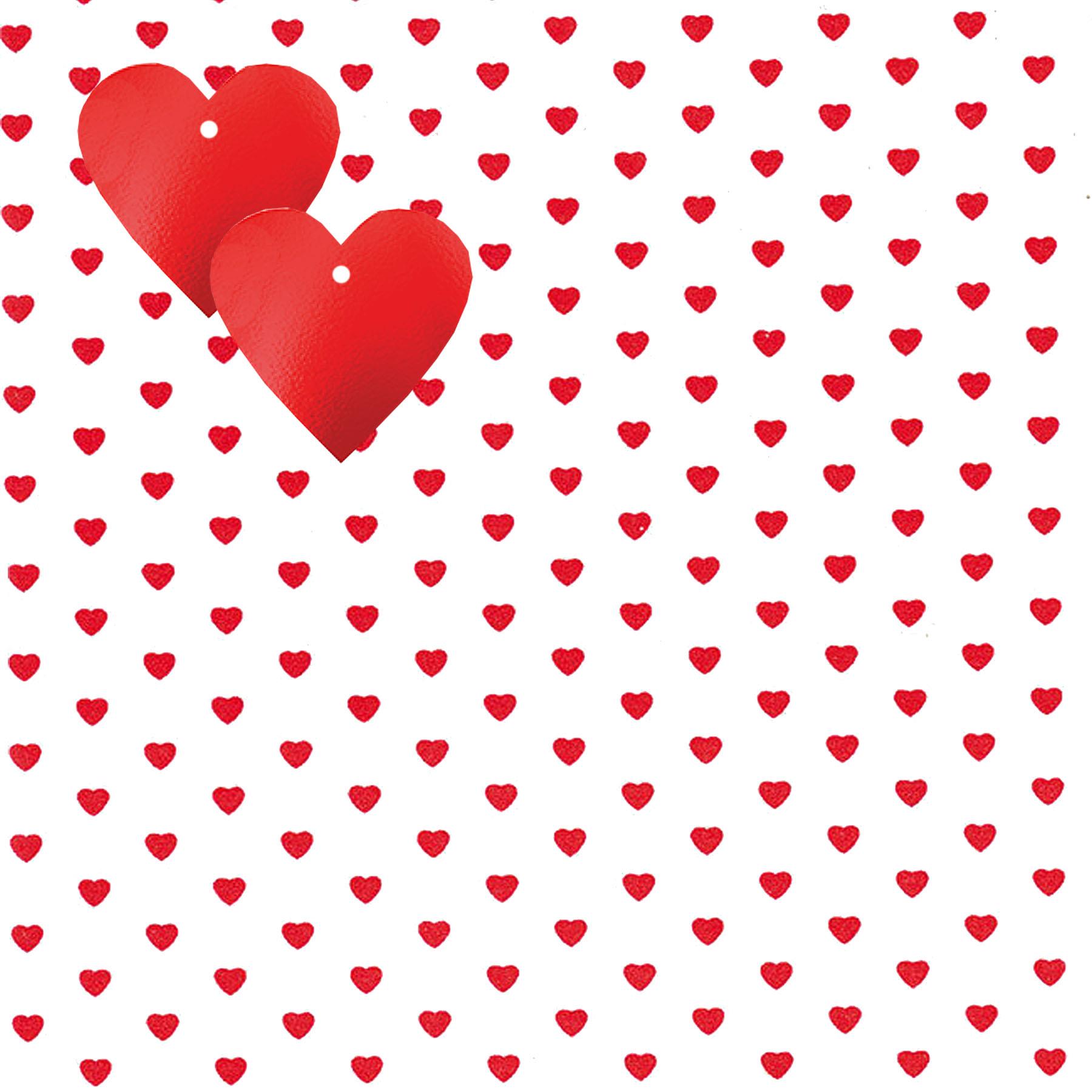 Valentines Wrapping Paper Sheets and Tags Pack of 2 White with Hearts