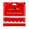 Paper Heart Garland Red 4 Metre Valentine's Decoration