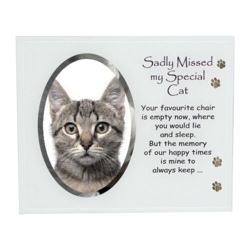 Memorial Glass Photo Frame with Wording Pet Memory - Special Cat