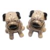 Pug Cruet Salt and Pepper Shakers Novelty Tableware Set