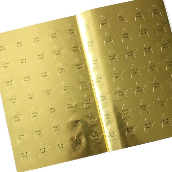 Reading Writing Sums Workbook with Gold Stars Stickers Age 6-8 Years