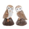 Owls Cruet Salt and Pepper Shakers Novelty Tableware Set