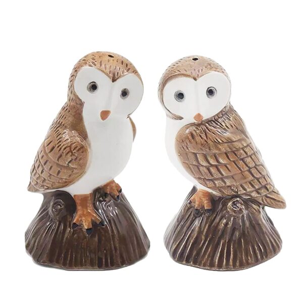 Owls Cruet Salt and Pepper Shakers Novelty Tableware Set
