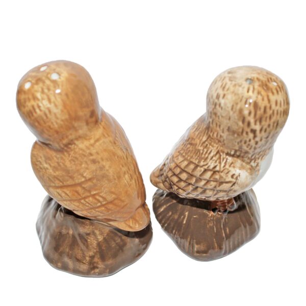 Owls Cruet Salt and Pepper Shakers Novelty Tableware Set