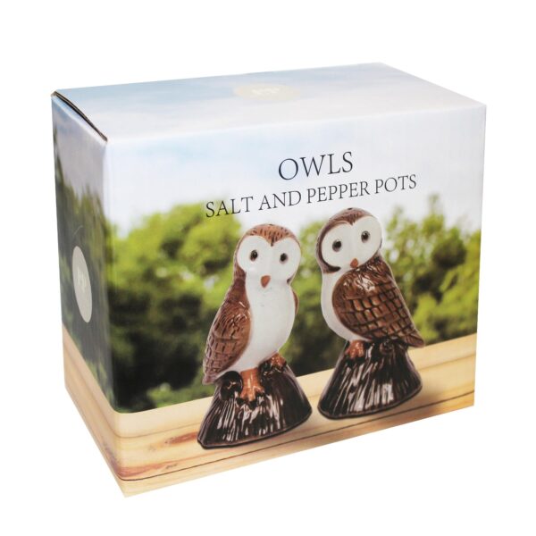Owls Cruet Salt and Pepper Shakers Novelty Tableware Set