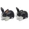Rabbits Cruet Salt and Pepper Shakers Novelty Tableware Set