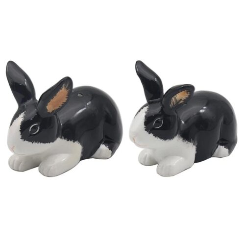 Rabbits Cruet Salt and Pepper Shakers Novelty Tableware Set