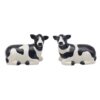 Cows Cruet Salt and Pepper Shakers Novelty Tableware Set