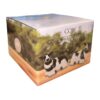 Cows Cruet Salt and Pepper Shakers Novelty Tableware Set