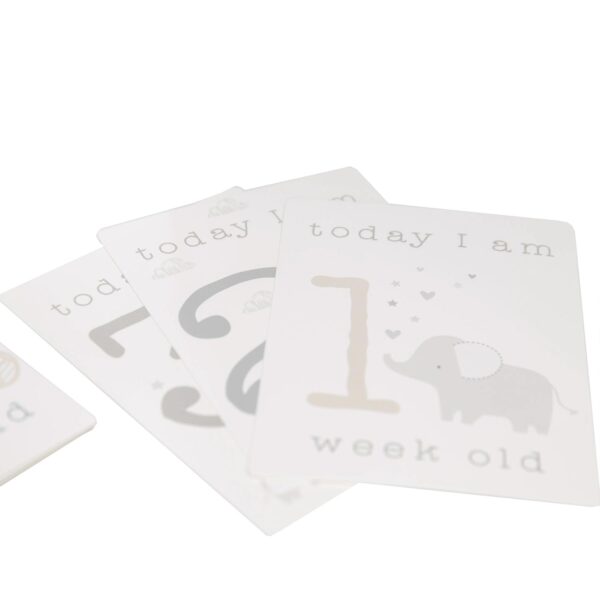 Baby My First Milestones Record Book / Photo Album and Milestones Cards Set