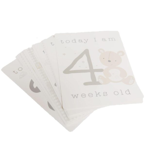 Baby My First Milestones Record Book / Photo Album and Milestones Cards Set