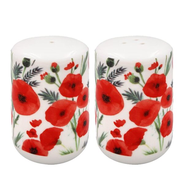 Poppy Cruet Set Fine China Salt and Pepper Pots Home Tableware Comes Boxed
