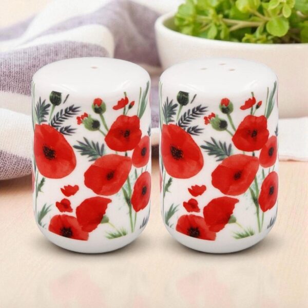 Poppy Cruet Set Fine China Salt and Pepper Pots Home Tableware Comes Boxed