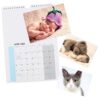 2026 A4 Photo Calendar DIY Personalise with 6'x4' or 7'x5' Photos - 1 Calendar