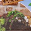 The Fairies Enchanted Garden Range - Fairy Tree Arch