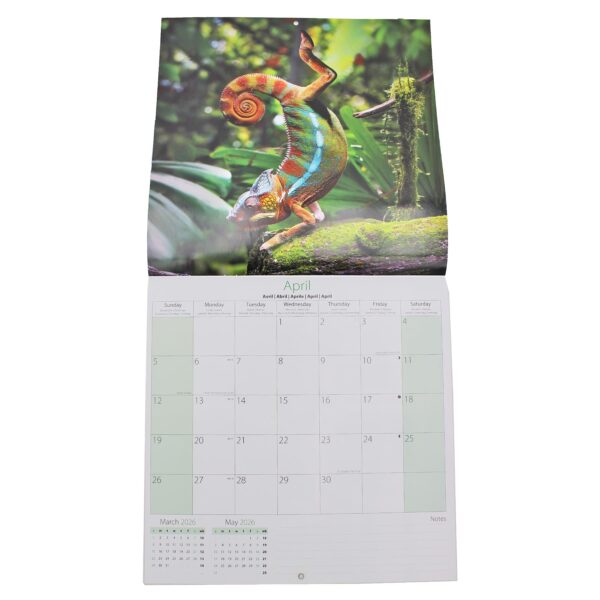 image488602975.jpg 2026 16 Month Calendar Square Wall Hanging Yoga Animals - Dog Cover