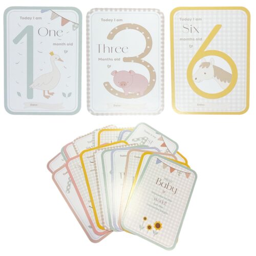 Baby Milestone Cards Memorable Moment 27 Card Pack Unisex 0M+