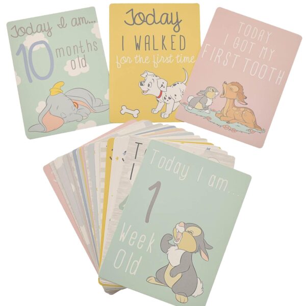 Disney Baby Milestone Cards Memory Photo Cards Pack of 30