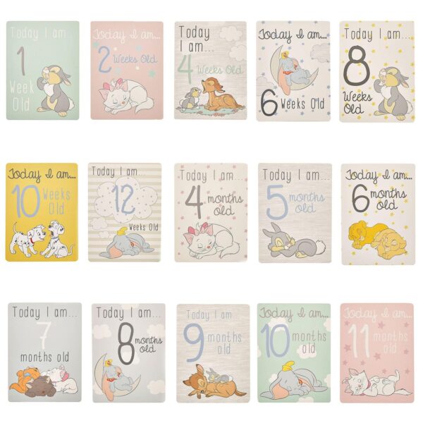 Disney Baby Milestone Cards Memory Photo Cards Pack of 30