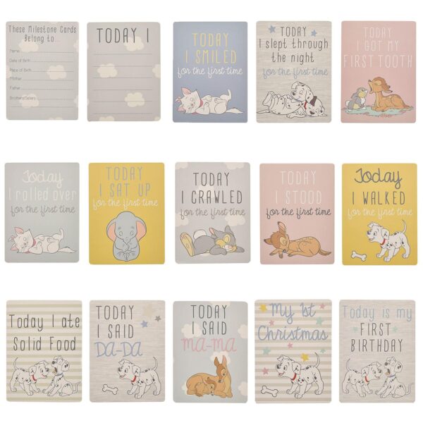 Disney Baby Milestone Cards Memory Photo Cards Pack of 30