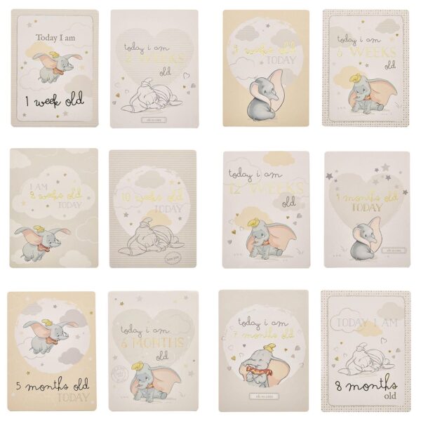 Disney Dumbo Baby Milestone Cards Memory Photo Cards Pack of 24