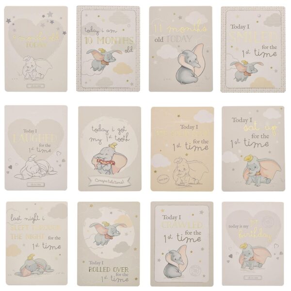 Disney Dumbo Baby Milestone Cards Memory Photo Cards Pack of 24