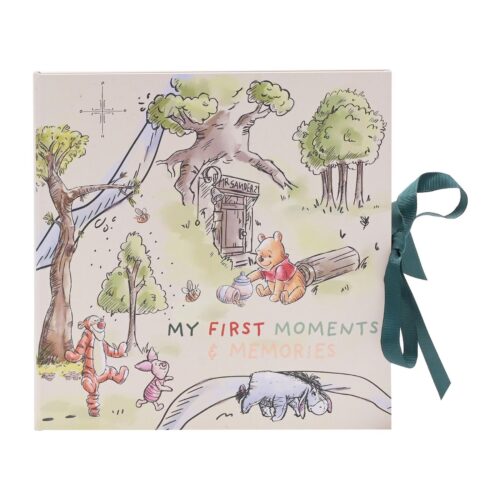 image489283986.jpg Winnie the Pooh Baby Record Book Disney - First Year