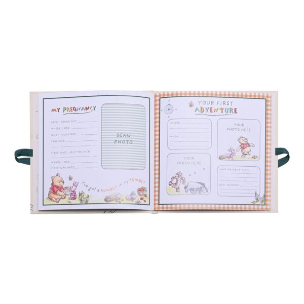Winnie the Pooh Baby Record Book Disney - First Year