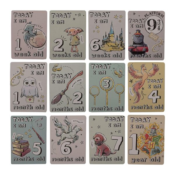 Harry Potter Baby Milestone Cards Memory Photo Cards Pack of 24