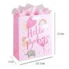 New Baby Gift Bag with Tag and Ribbon Handles 100% Recyclable - Pink